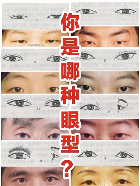 鷹眼眼型|面相好不好？一半看眼睛！最全眼型圖解